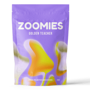Golden Teacher | Magic Mushrooms Vancouver Canada