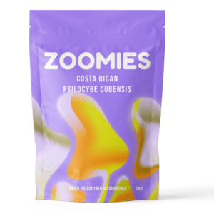 Costa Rican | Magic Mushrooms Vancouver Canada