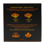 Room 920 - Mushroom Chocolate Bar - Milk Chocolate Orange - 3 grams | Magic Mushrooms Vancouver Canada