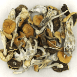 Full Moon Party | Magic Mushrooms Vancouver Canada