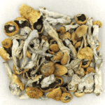 Orissa | Magic Mushrooms Vancouver Canada