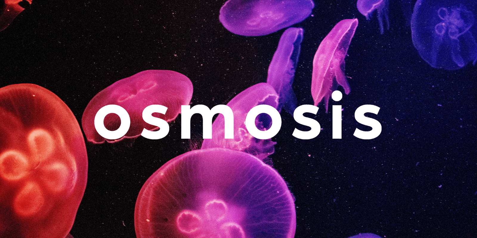 Zoomies osmosis banner | Magic Mushrooms Vancouver Canada