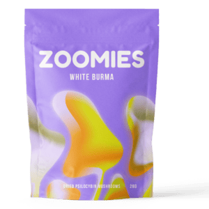 White Burma | Magic Mushrooms Vancouver Canada