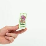 Wonder – Psilocybin Chocolate Bar – Dark Chocolate | Magic Mushrooms Vancouver Canada