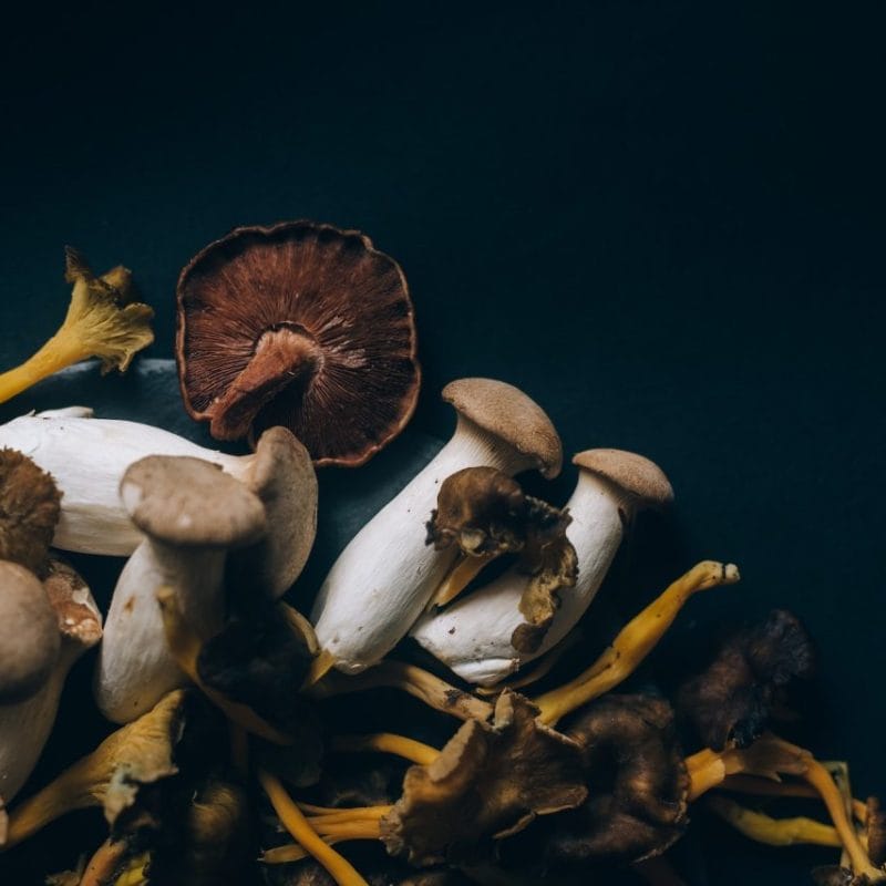 Dried Shrooms | Magic Mushrooms Vancouver Canada