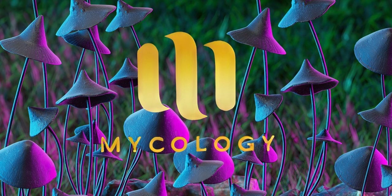 Zoomies Summer 2023 Banner - Mycology | Magic Mushrooms Vancouver Canada