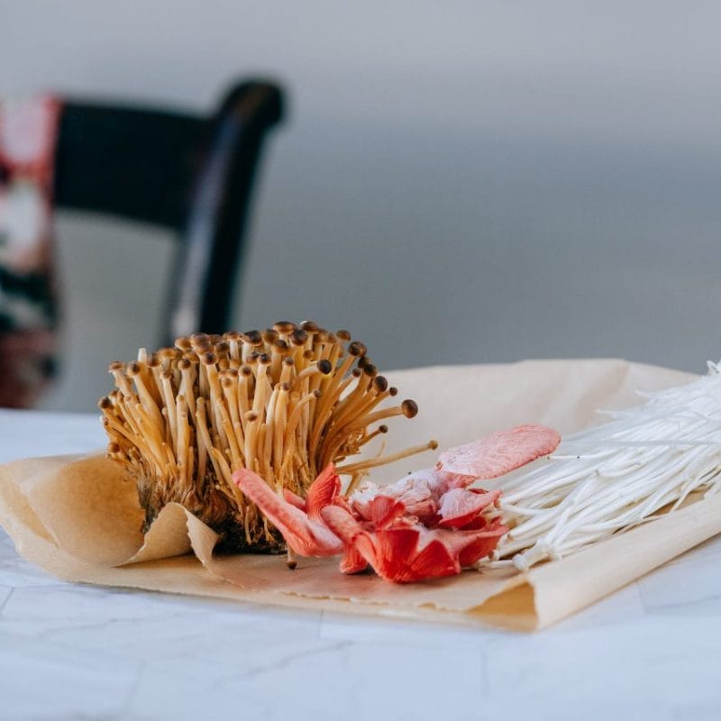 Buy Shrooms Online Canada (1) | Magic Mushrooms Vancouver Canada