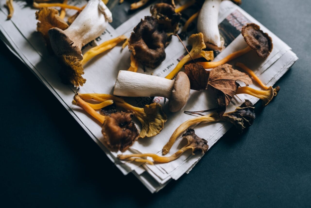 Is It a Good Idea to Pair Mushrooms and Chocolate?