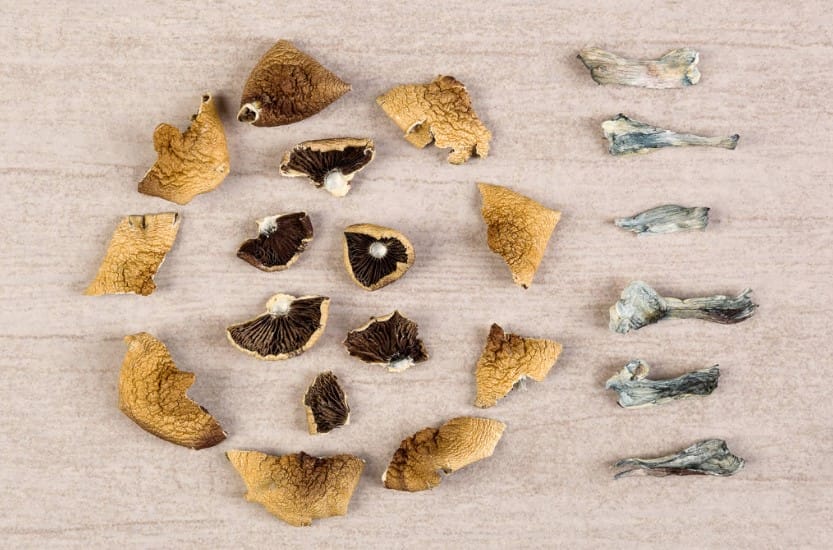 The Unexpected Link Between Psychedelics and Improved Sexual Experiences Magic mushroom Canada
