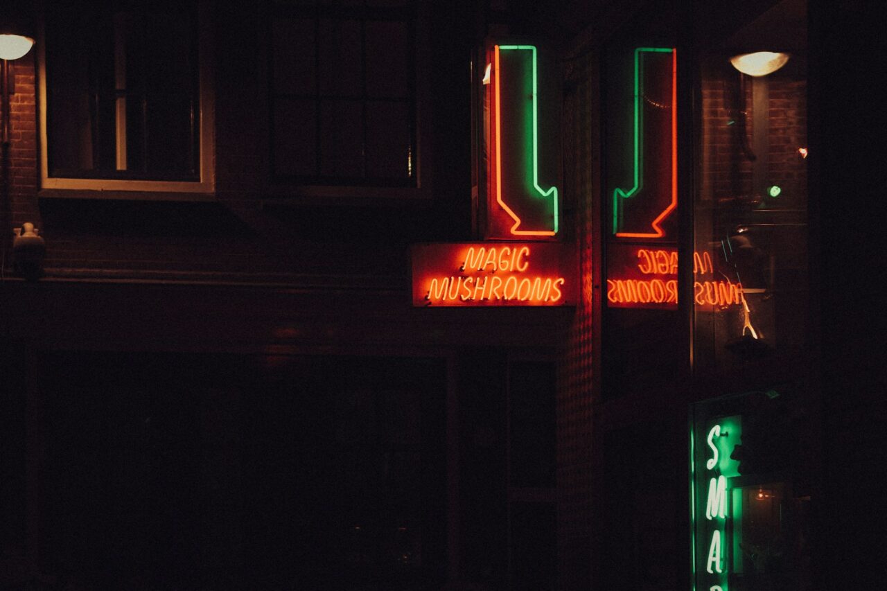 Vancouver Mushroom Dispensary – How is Canada Keeping Pace with the US in the Mushroom Surge?