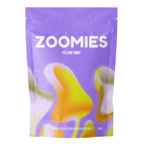 Yellow Umbo | Magic Mushrooms Vancouver Canada